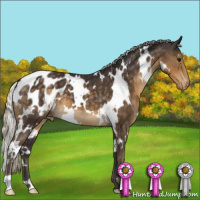Horse Color:White Spotted Silver Smoky Black Appaloosa 