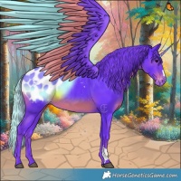 Horse Color:Watercolor Smoky Black Appaloosa 