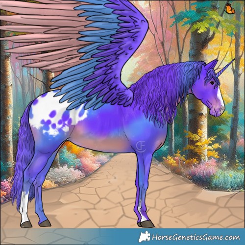 Horse Color:Watercolor Smoky Black Sabino Appaloosa 