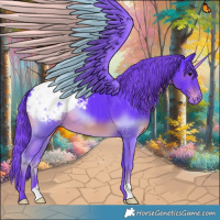 Horse Color:Watercolor Smoky Black Appaloosa