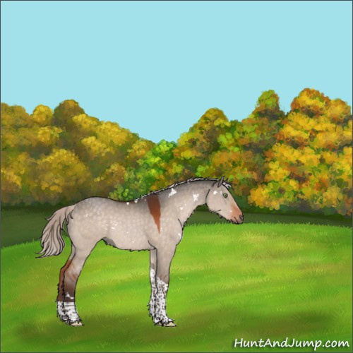 Horse Color:White Spotted Silver Brown Dun Tobiano 