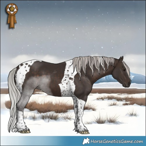 Horse Color:Silver Brown Tobiano 