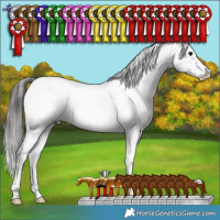 Horse Color:Blue Roan Near Fewspot 
