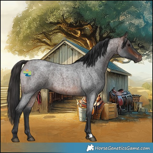 Horse Color:Brown Roan Rabicano 