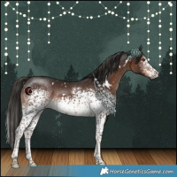 Horse Color:White Spotted Liver Chestnut 