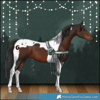 Horse Color:Liver Chestnut Tobiano 