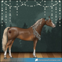 Horse Color:White Spotted Chocolate Palomino Tobiano 