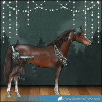 Horse Color:White Spotted Liver Chestnut Tobiano Rabicano 