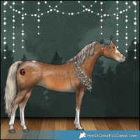 Horse Color:White Spotted Chocolate Palomino Tobiano Rabicano 