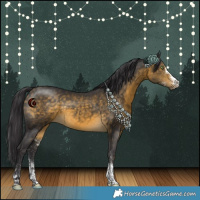 Horse Color:White Spotted Buckskin Rabicano 