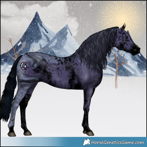 Horse Color:ERROR: UNKNOWN ANOMALY