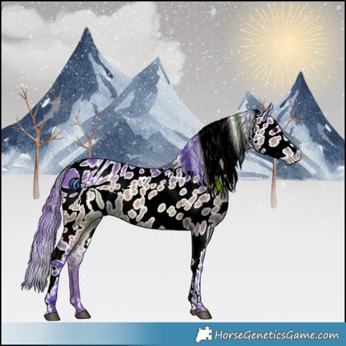 Horse Color:ERROR: UNKNOWN ANOMALY