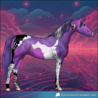 Horse Color:Watercolor Bay Tobiano 