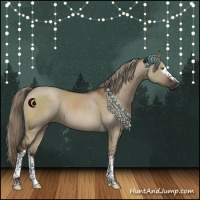 Horse Color:White Spotted Liver Red Dun Tobiano Rabicano 