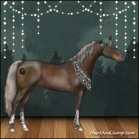 Horse Color:Silver Brown Tobiano Rabicano 