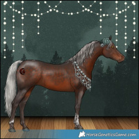 Horse Color:Silver Brown Tobiano 