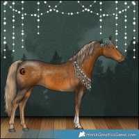 Horse Color:White Spotted Chocolate Palomino Tobiano 