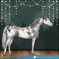 Horse Color:White Spotted Silver Black Rabicano 