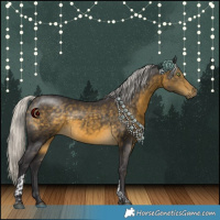 Horse Color:Silver Buckskin Tobiano 