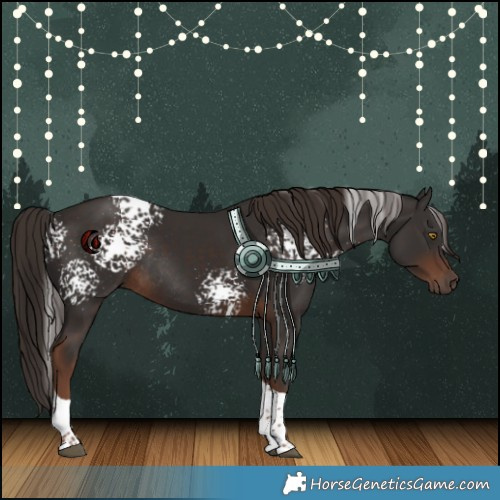 Horse Color:White Spotted Liver Chestnut Tobiano Rabicano 