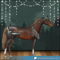 Horse Color:Liver Chestnut Tobiano 