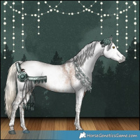Horse Color:Gray White Spotted Chocolate Palomino