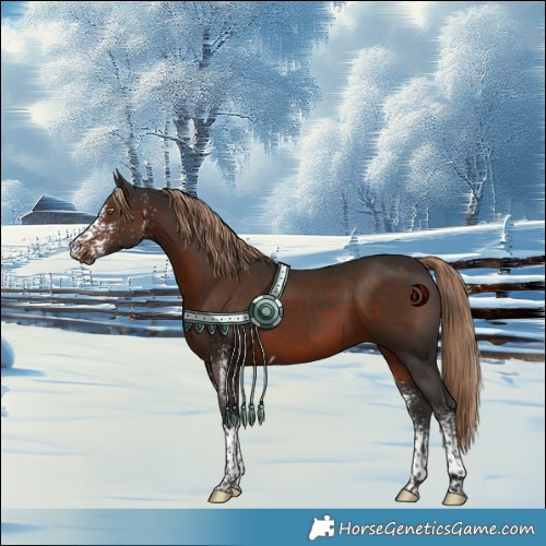 Horse Color:White Spotted Liver Chestnut Tobiano 