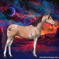 Horse Color:Painted Bay Ice Tobiano 