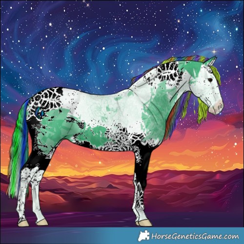 Horse Color:Painted Watercolor Black Splash Tobiano