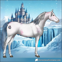 Horse Color:Watercolor White Spotted Bay 