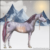 Horse Color:Painted Watercolor Chestnut Ice