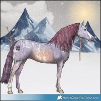 Horse Color:Painted Watercolor Chestnut Ice