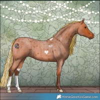 Horse Color:Painted Silver Bay Roan 