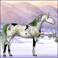 Horse Color:Watercolor White Spotted Bay Ice Splash Tobiano