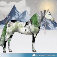 Horse Color:Watercolor White Spotted Bay Ice Splash Tobiano 