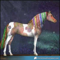 Horse Color:Painted Nacre Bay Tobiano Rabicano