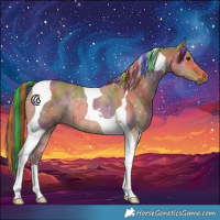 Horse Color:Painted Nacre Bay Tobiano Rabicano