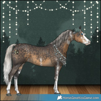 Horse Color:White Spotted Silver Smoky Black Splash 