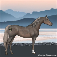 Horse Color:Silver Black Tobiano