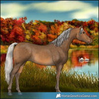 Horse Color:Silver Buckskin Rabicano