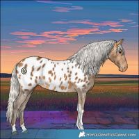 Horse Color:Silver Buckskin Tobiano Near Leopard