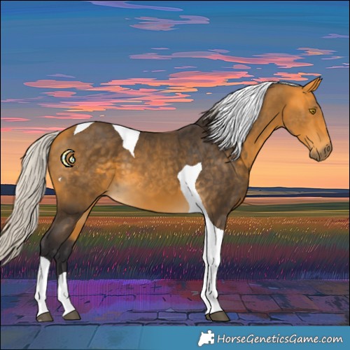 Horse Color:Silver Buckskin Tobiano 