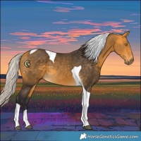 Horse Color:Silver Buckskin Tobiano 