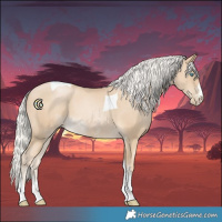 Horse Color:Silver Smoky Black Pearl Sabino Tobiano 
