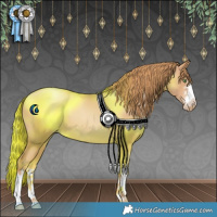 Horse Color:Chestnut Pearl