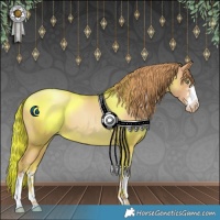 Horse Color:Chestnut Pearl 