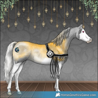 Horse Color:Silver Bay Chinchilla Splash 