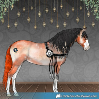 Horse Color:Brown Onyx 