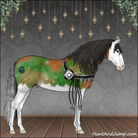 Horse Color:Bay Splash 