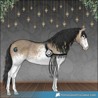 Horse Color:White Spotted Brown Dun 